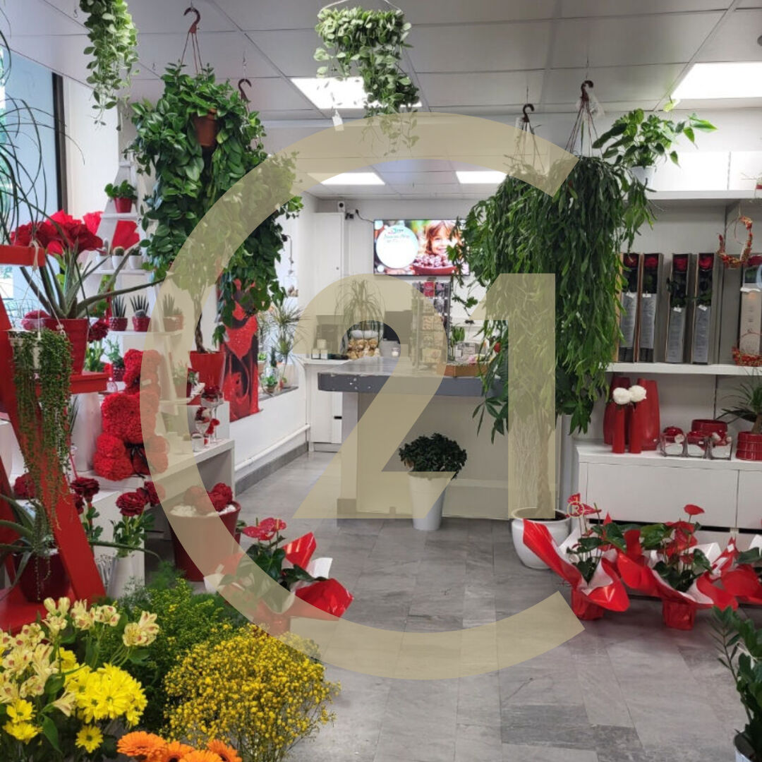 Divers à vendre - 95.0 m2 - 39 - Jura