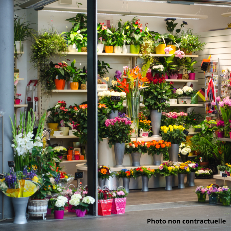 Fleurs à vendre - 90.0 m2 - 39 - Jura