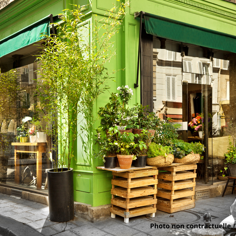 Fleurs à vendre - 95.0 m2 - 39 - Jura