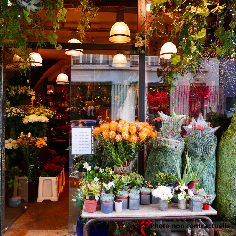 Fleurs à vendre - 110.0 m2 - 39 - Jura