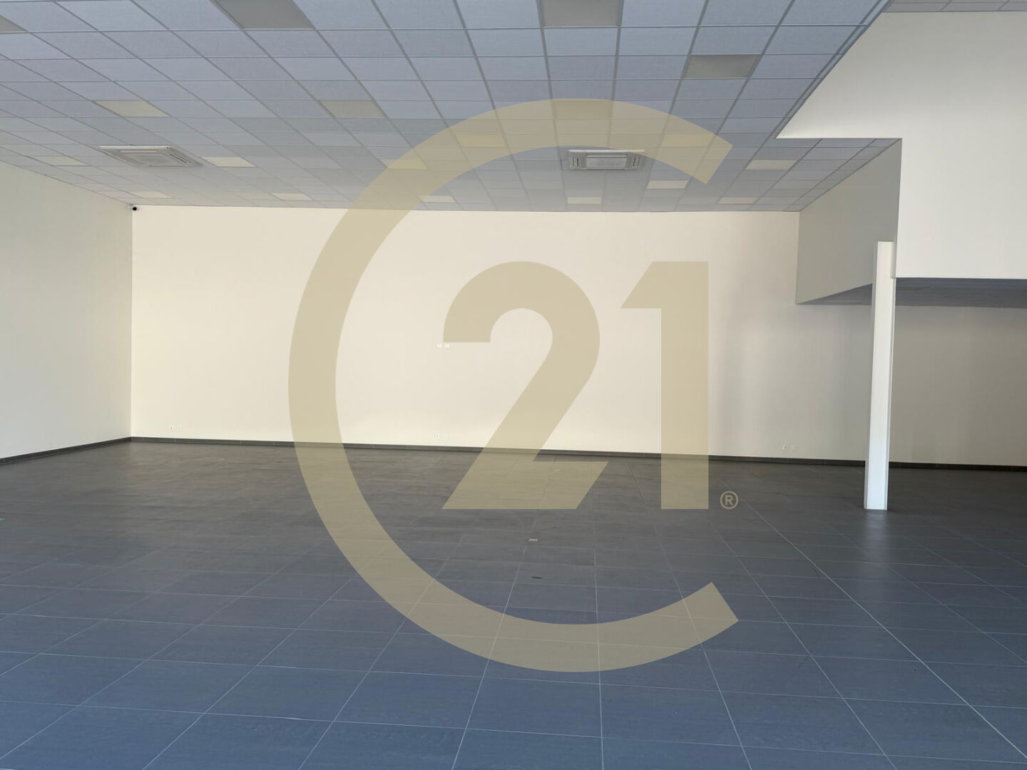 Local commercial à vendre - 4739.0 m2 - 01 - Ain