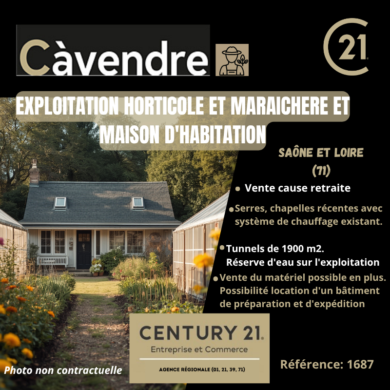 Commerce à vendre