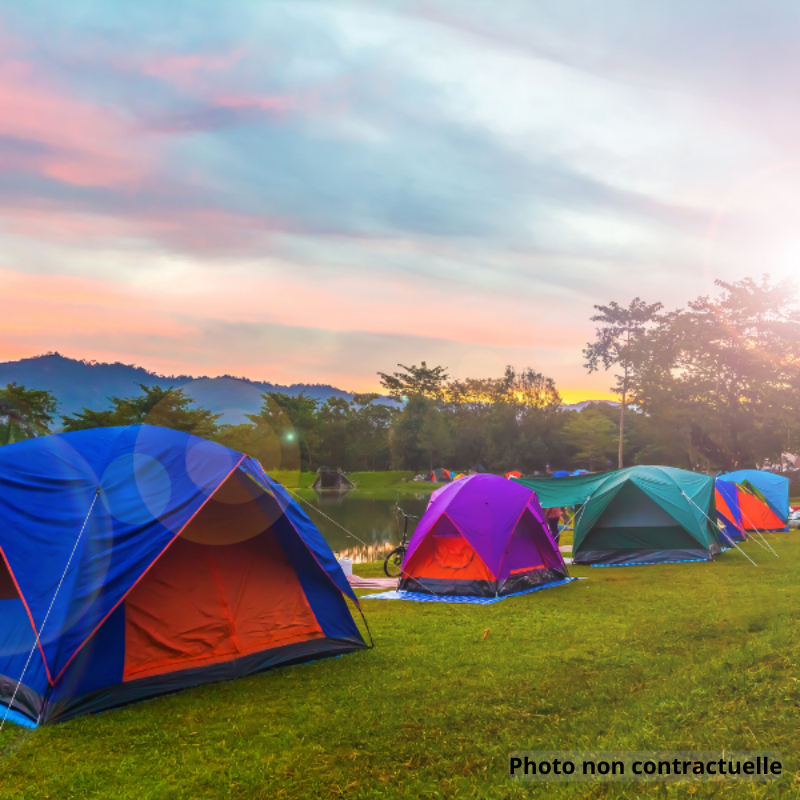 Camping à vendre - 12000.0 m2 - 01 - Ain