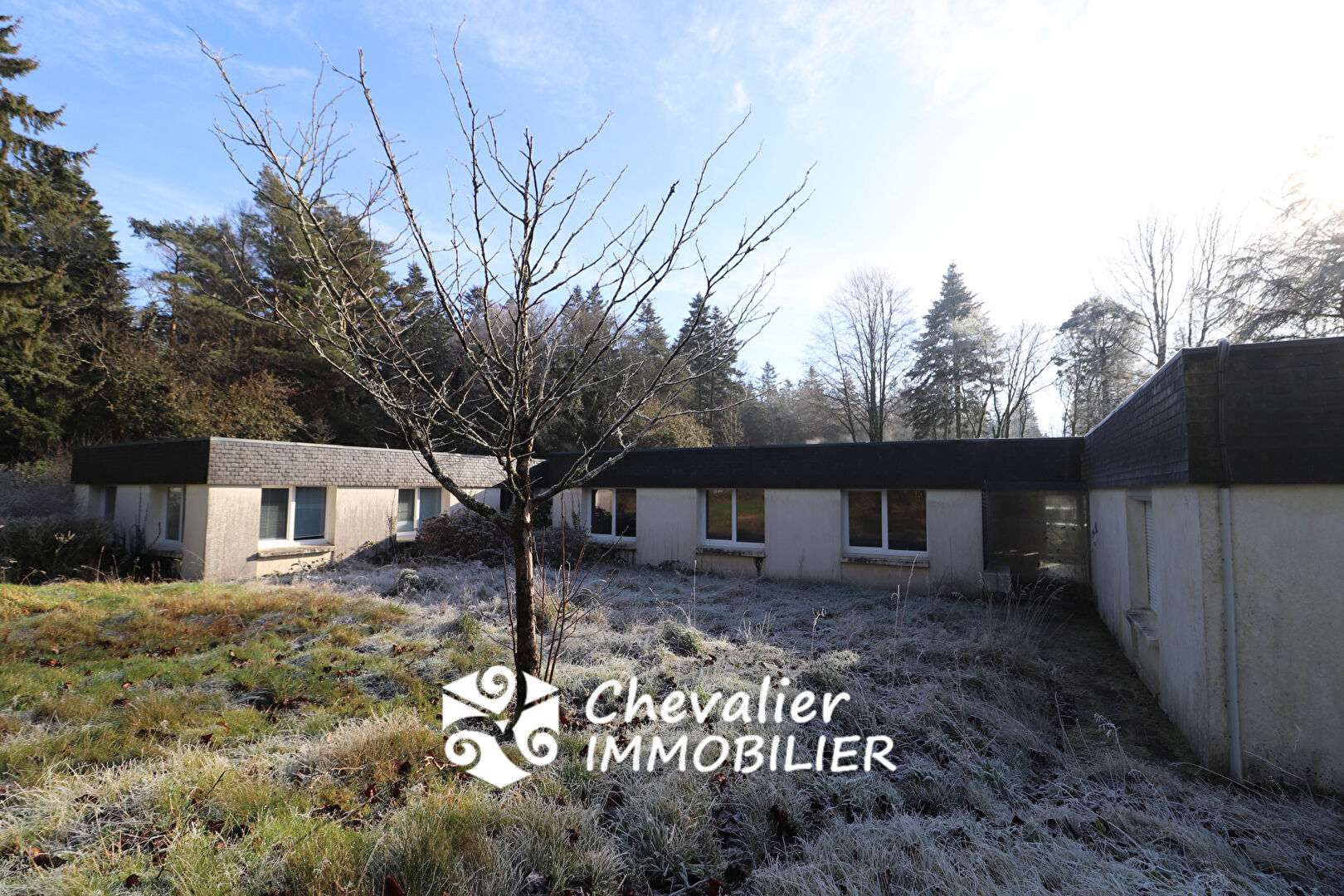 Photo Magnifique SITE aux portes de VANNES pour ce local de 700 m² de plain-pied ! image 2/6