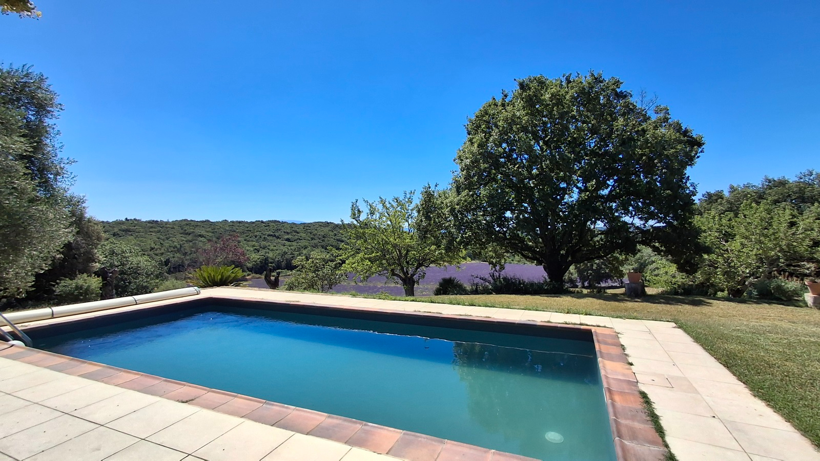 Photo PROPRIETE DE TOURISME - 590 m² en Drôme Provençale image 6/6