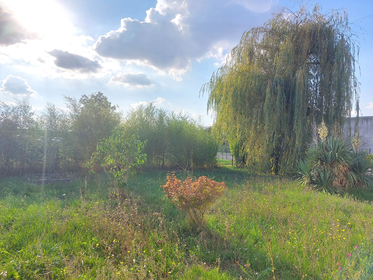 Photo Maison Levet 5 pièce(s) 111 m2 image 2/6