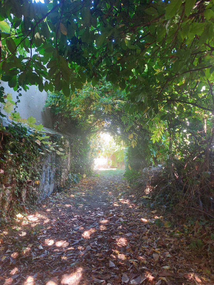 Photo Maison Bourges 6 pièces 138 m2 image 3/6