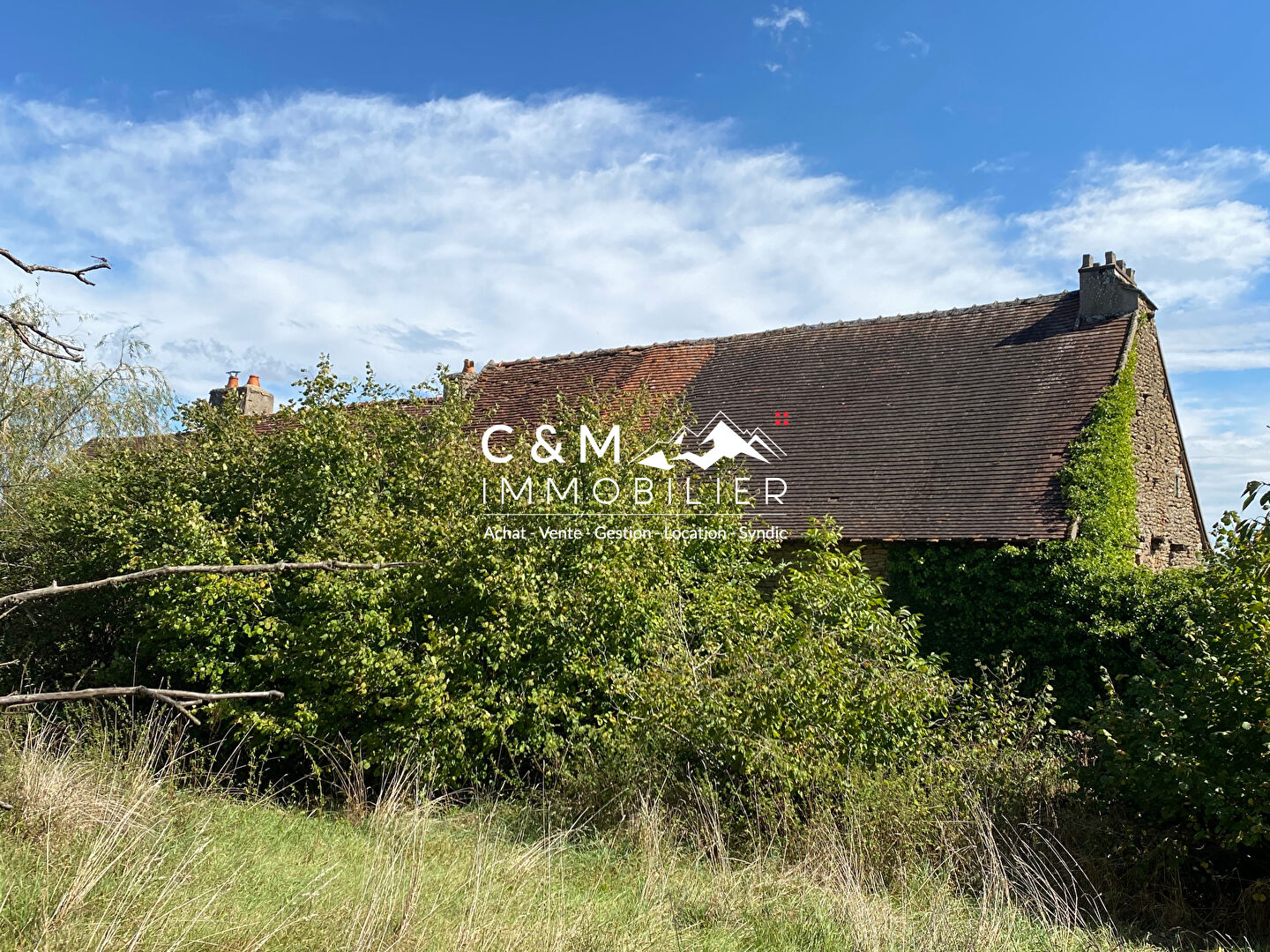 Photo Ensemble immobilier Chapaize 10 pièce(s) 340 m2 à rénover sur terrain 1498 m² image 4/6