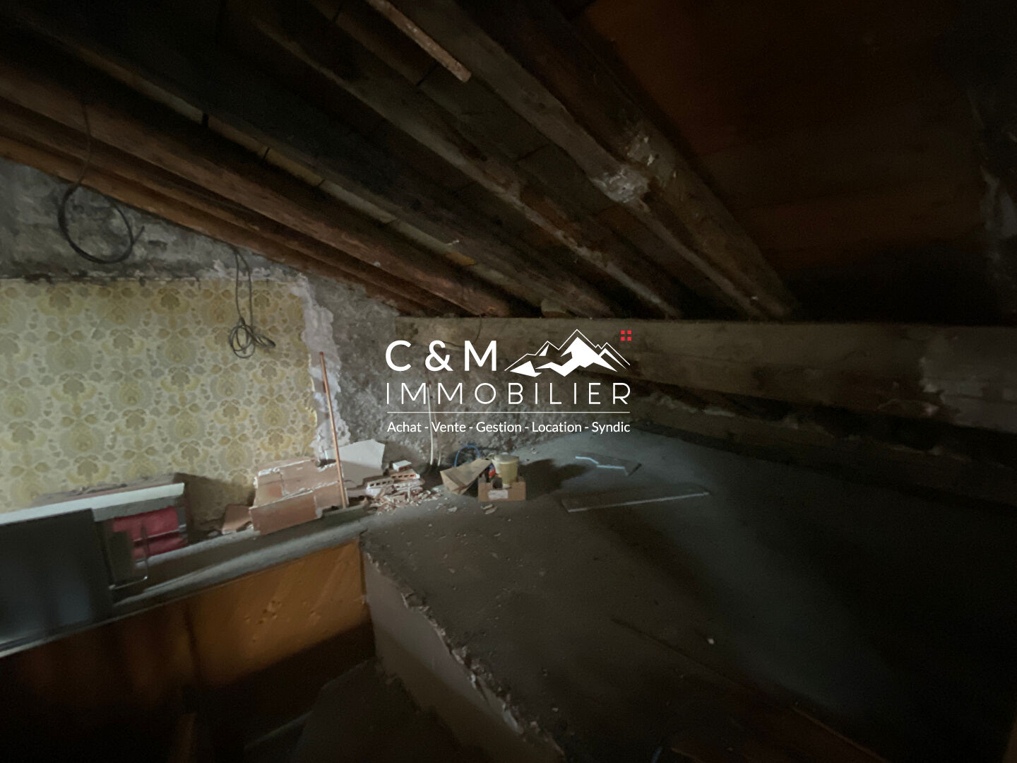 Photo Plateau brut à aménager 42.10 m2 (Carrez) à Termignon image 4/6