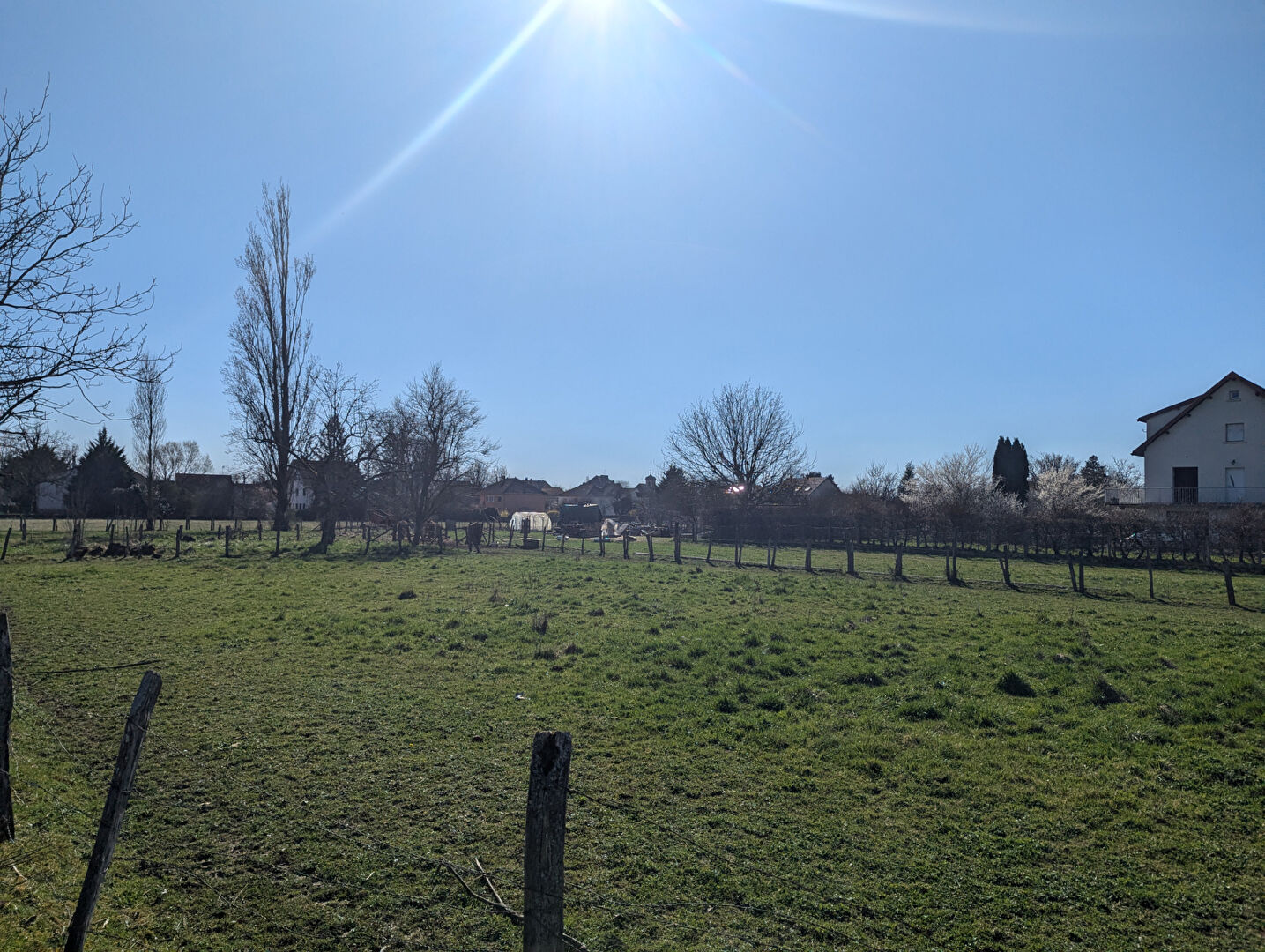 Photo Terrain Bletterans 1124 m2 au calme image 2/2