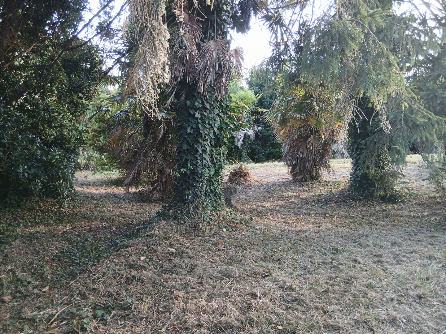 Photo Pornichet : terrain à bâtir à 300 mètres de la plage de Sainte Marguerite image 3/4