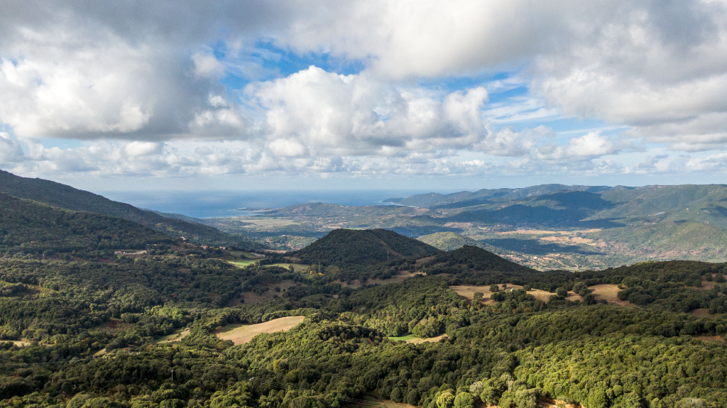 Photo CASALABRIVA - MAISON 10 PIECES - 250m² image 2/6