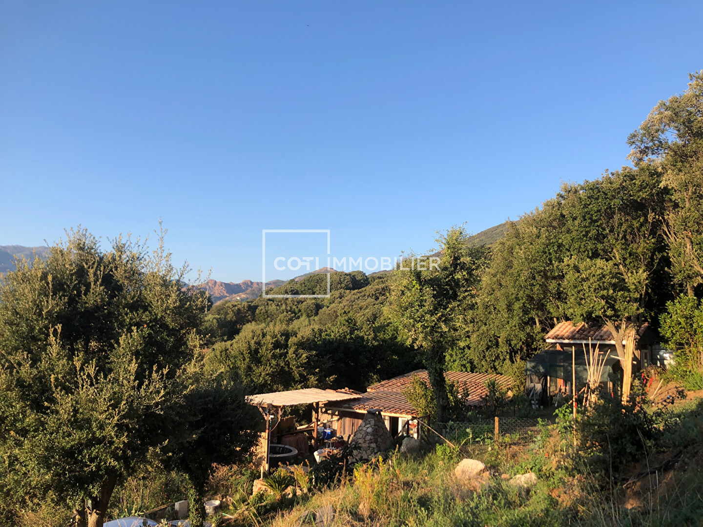 Photo ARBELLARA - Terrain 2280 m2 avec maison hors d'eau              110 m2- image 5/6