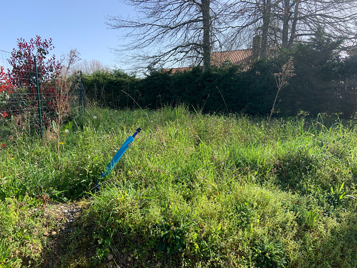 Photo Terrain Sault de Navailles 1650 m2 image 5/5