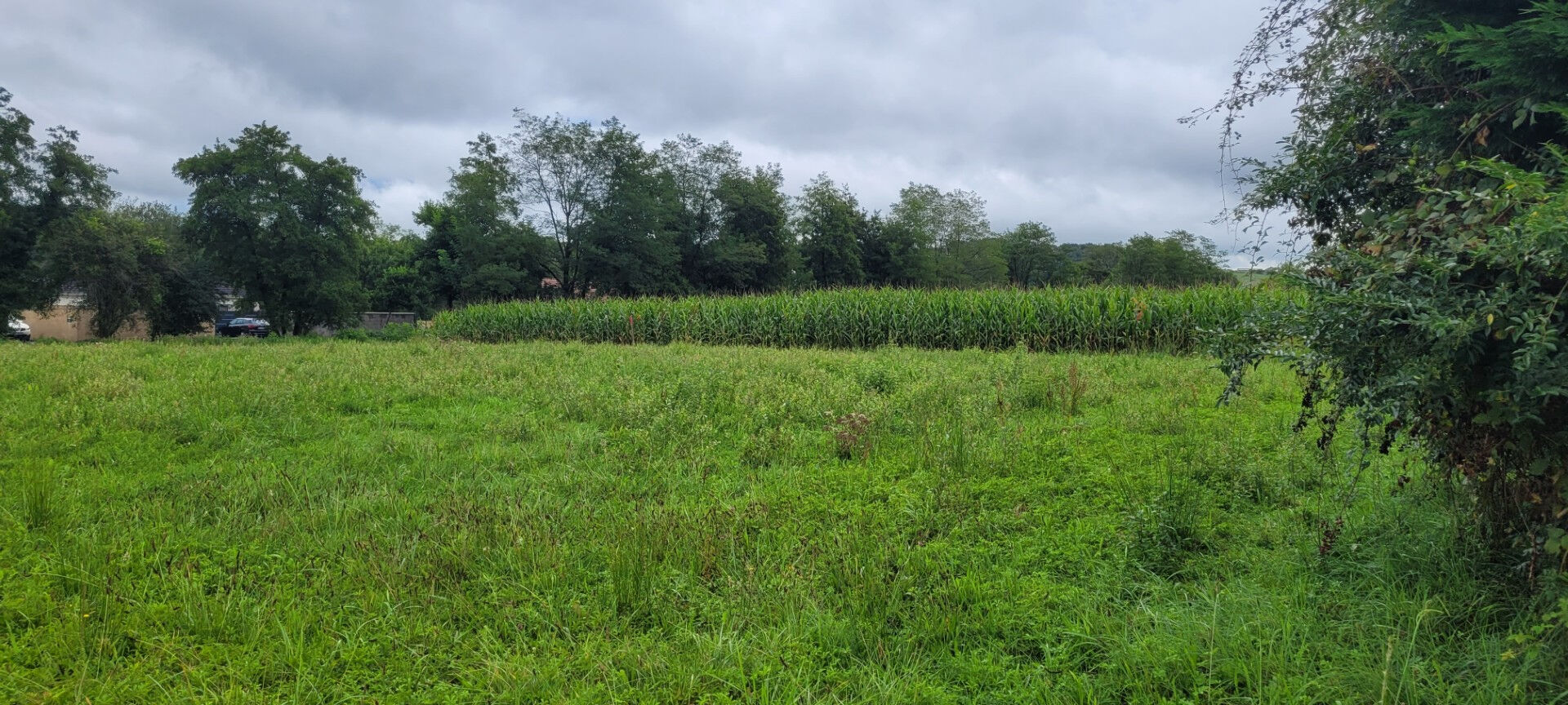 Terrain Serres Sainte Marie 1229 m2