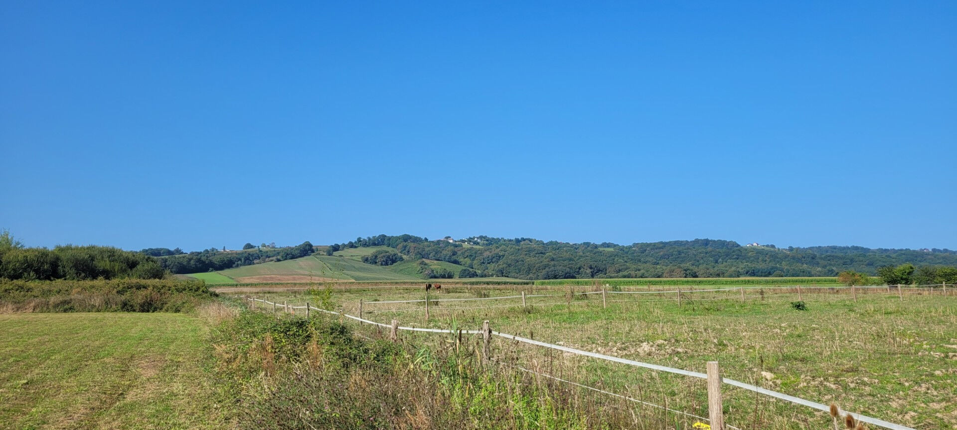 Photo Terrain Maslacq 1408 m2 image 2/4