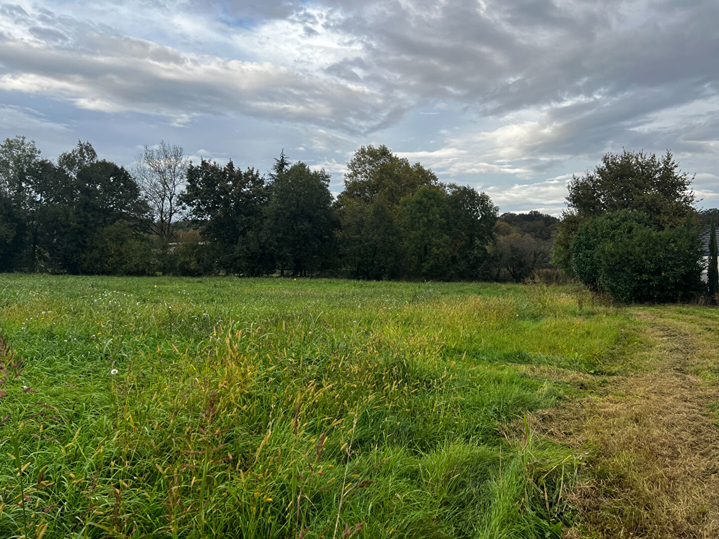 Terrain Meillon 1203 m2