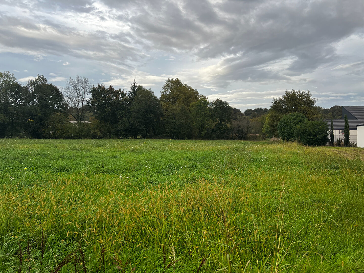 Photo Terrain Meillon 1203 m2 image 2/2