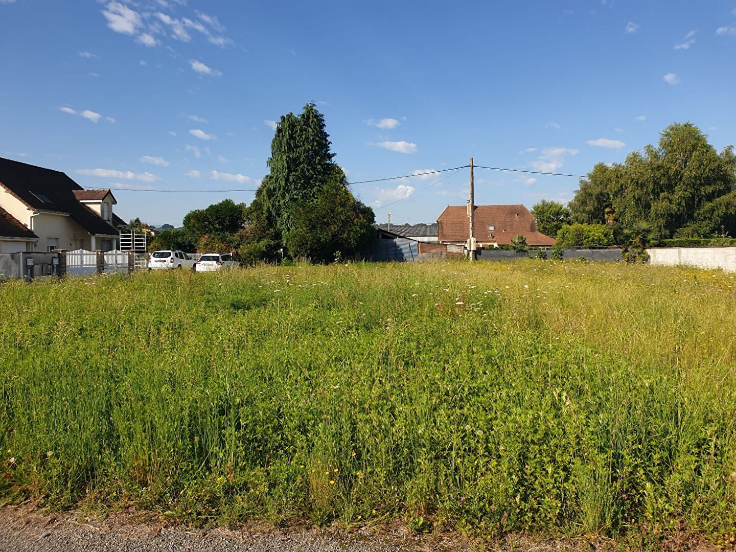 Photo Terrain Meillon 800 m² image 3/3