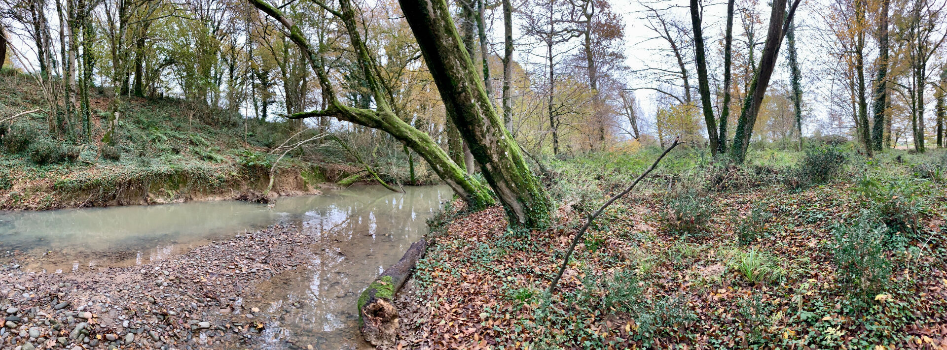 Photo Terrain Castetis 2875 m2 image 3/4