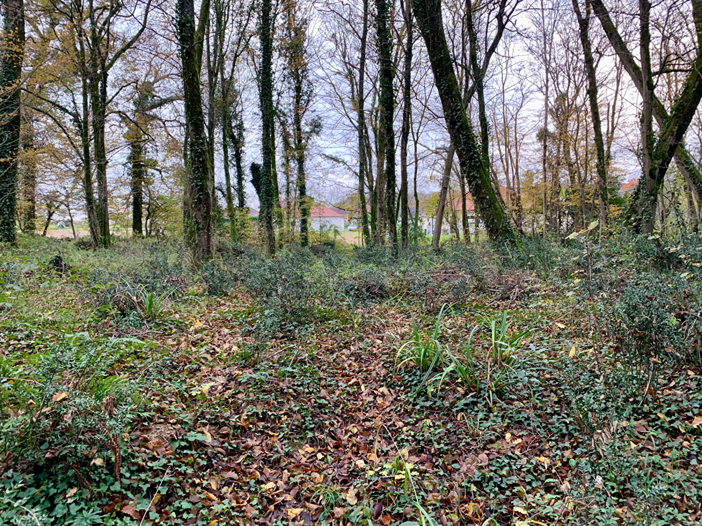 Photo Terrain Castetis 2875 m2 image 4/4