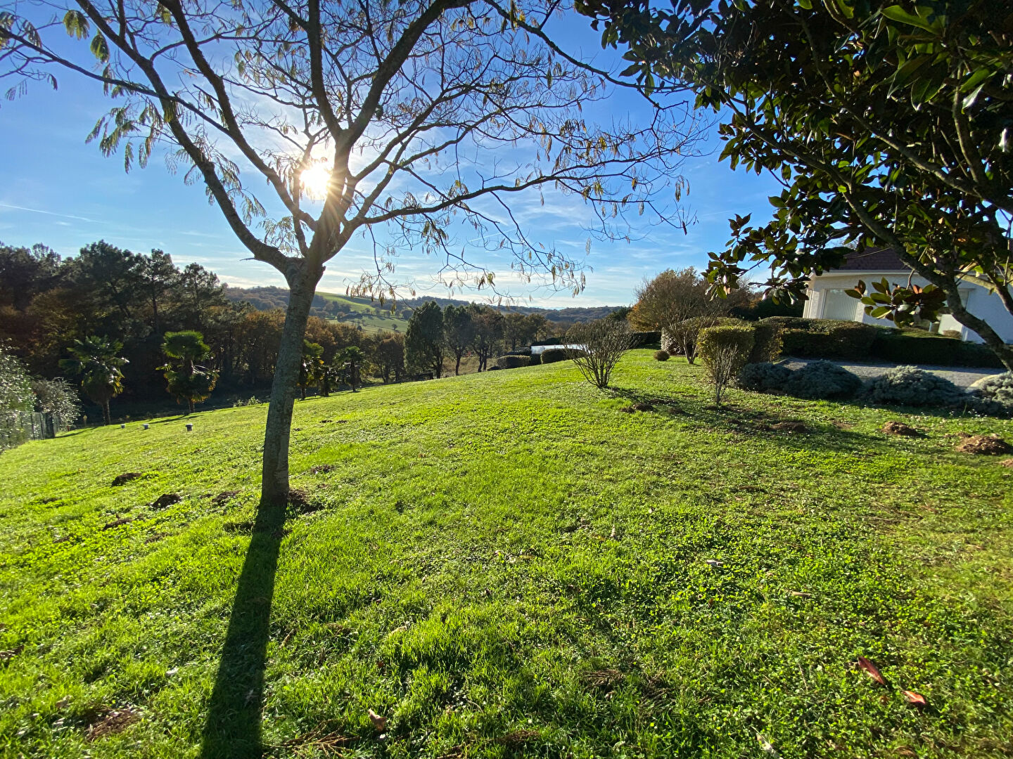 Photo Maison de plain pied avec piscine à Castillon (64370) image 6/6