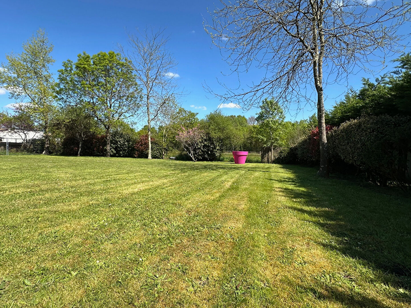 Photo Terrain Bouaye 1218 m2, Immo Concept 44 image 2/2