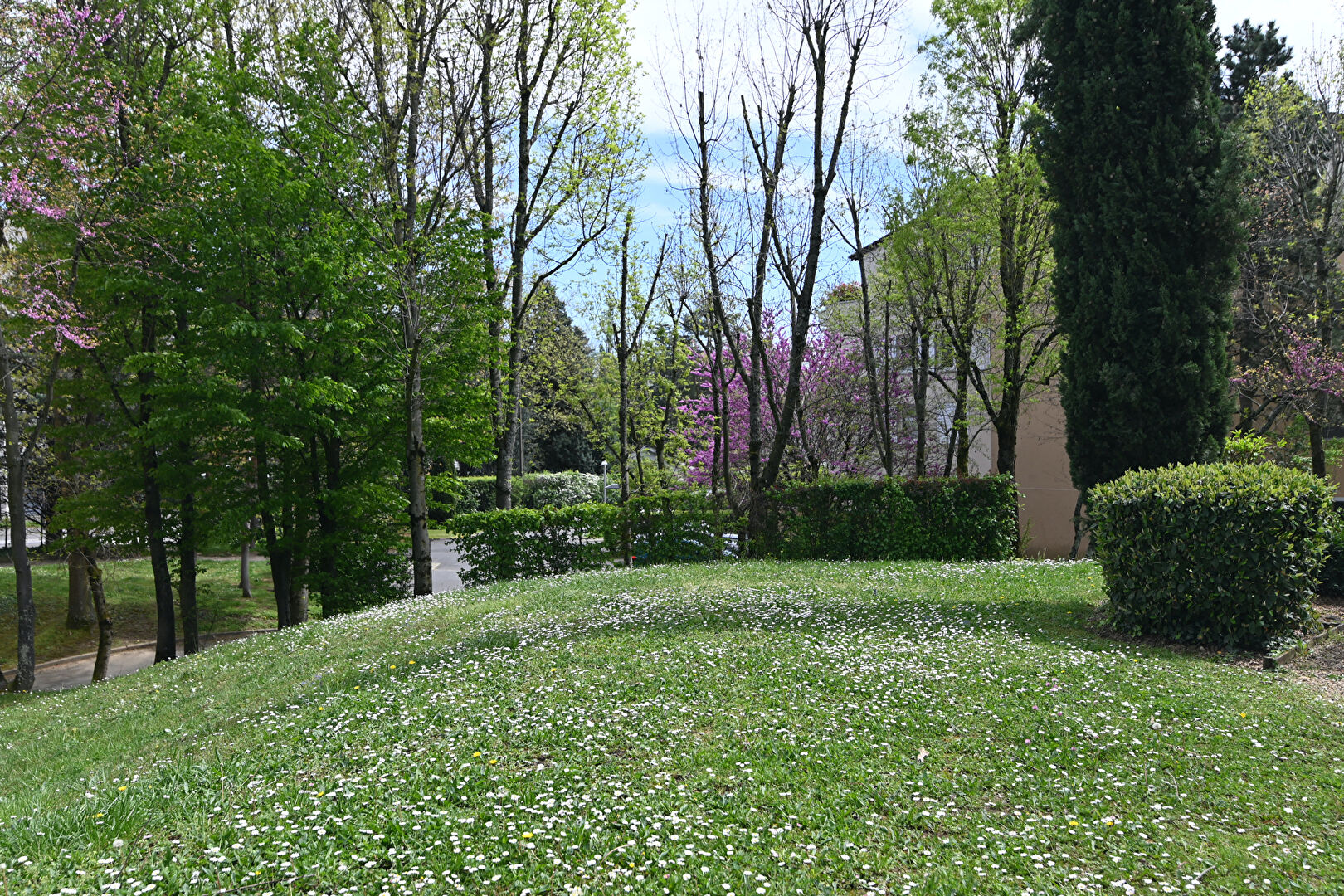 Photo Appartement T5 Rez de jardin Dardilly 104 m2 + Jardin privatif image 2/6