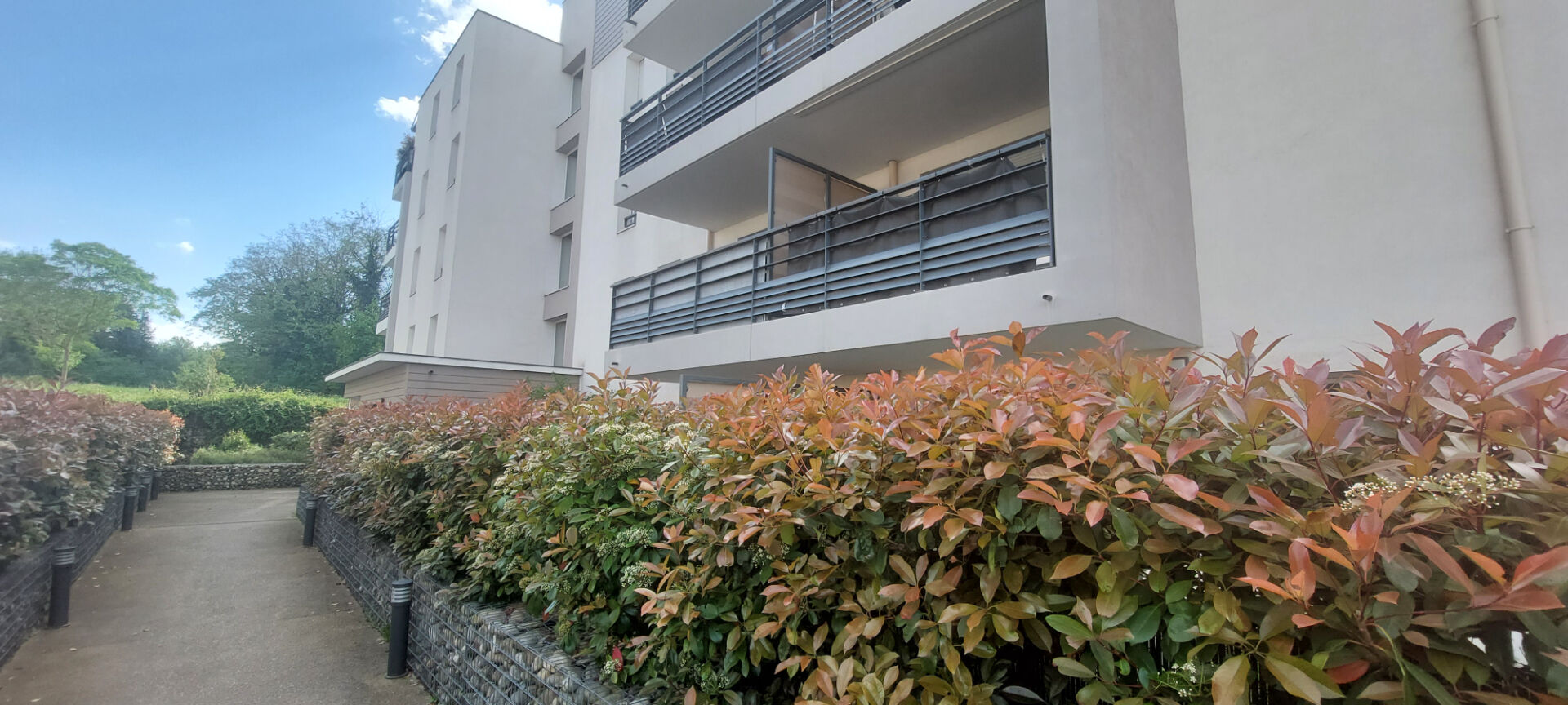 Photo T2 40m2 rez de jardin proche tram T4 image 5/6