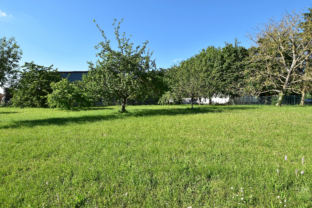Photo Terrain Chalons En Champagne 612 m2 image 3/6