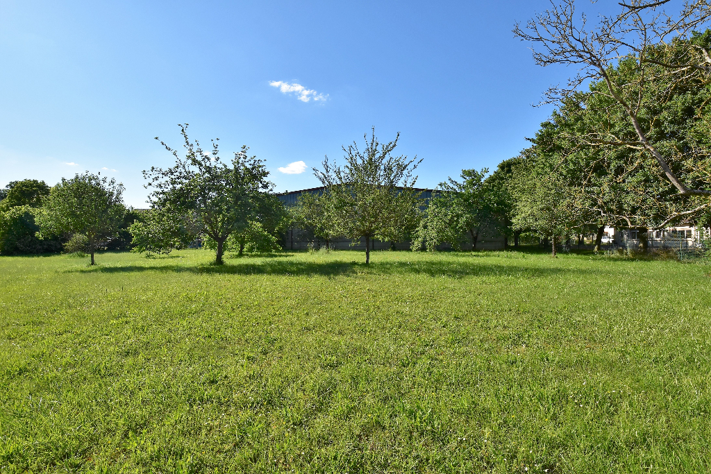 Photo Terrain Chalons En Champagne 612 m2 image 5/6