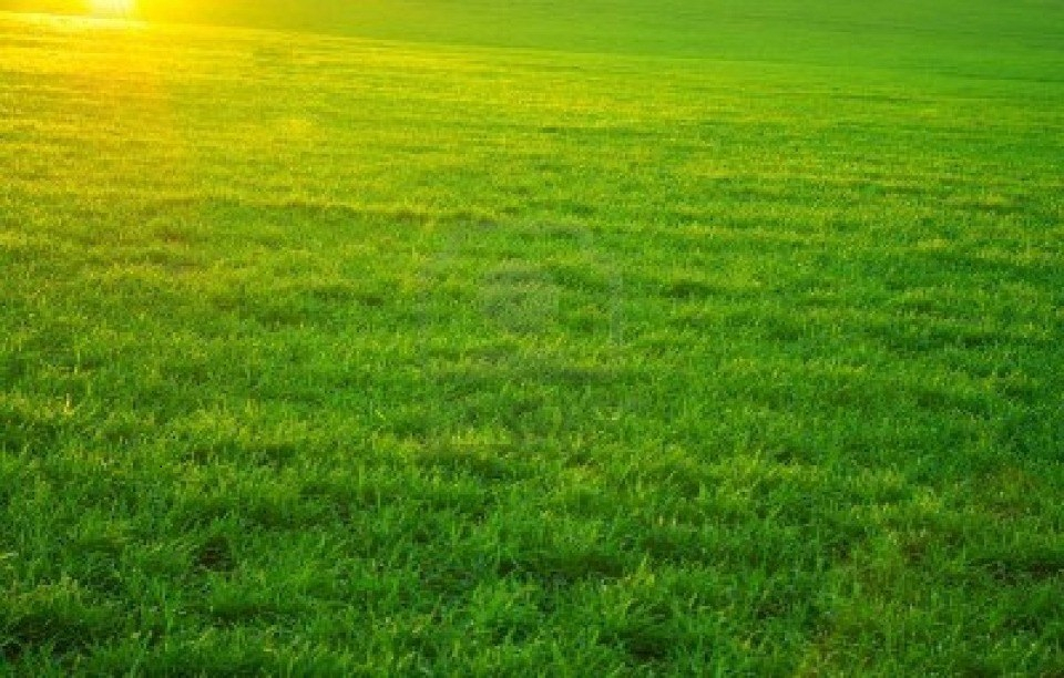 Photo Terrain Chalons En Champagne 612 m2 image 6/6