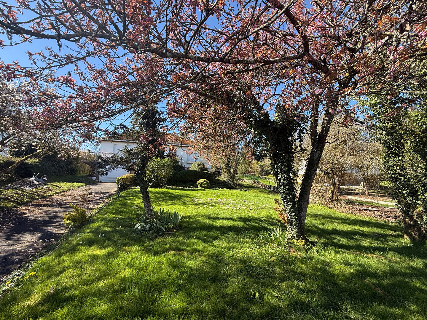 Agence immobilière de DECAMPS IMMOBILIER.COM Donchery - DECAMPS IMMOBILIER.COM