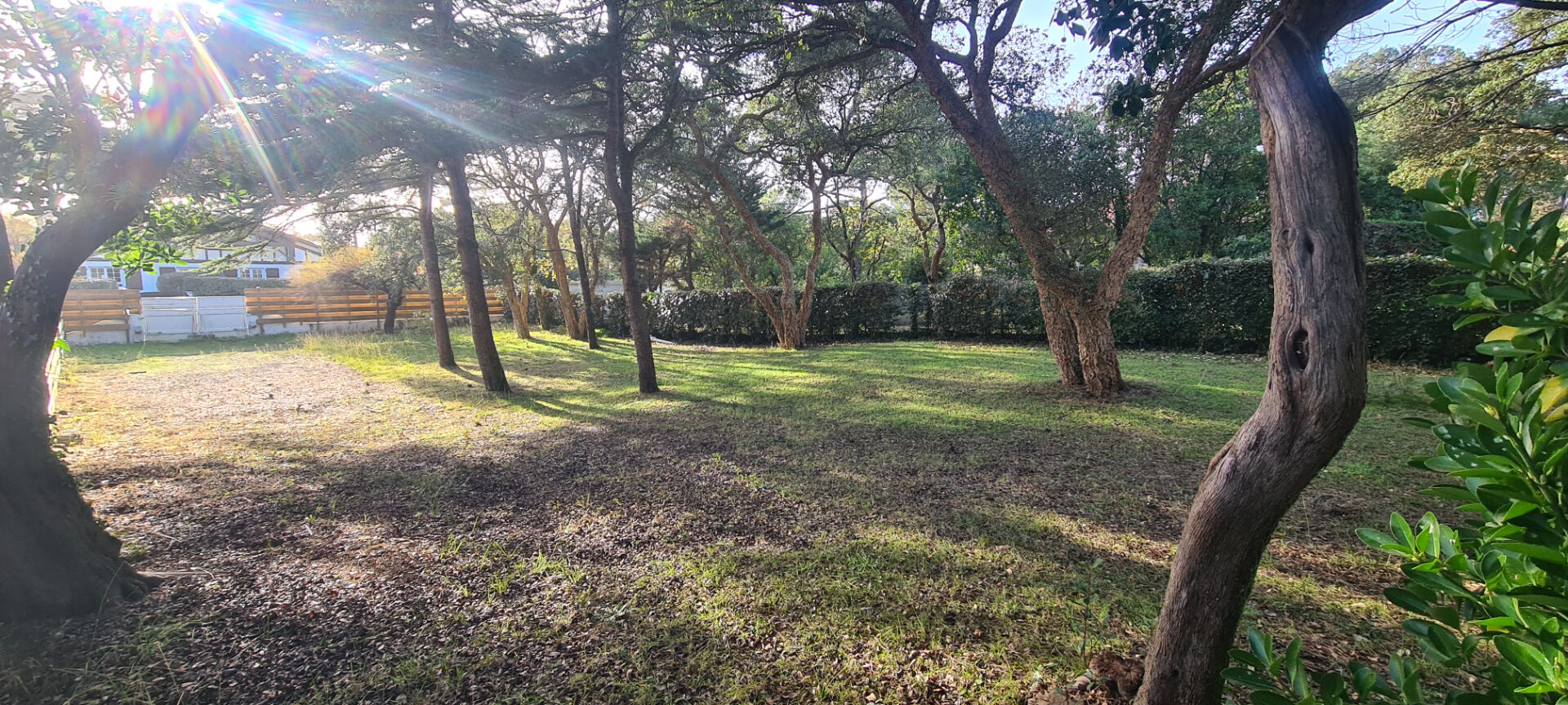 Terrain Labenne  OCEAN 623 m2