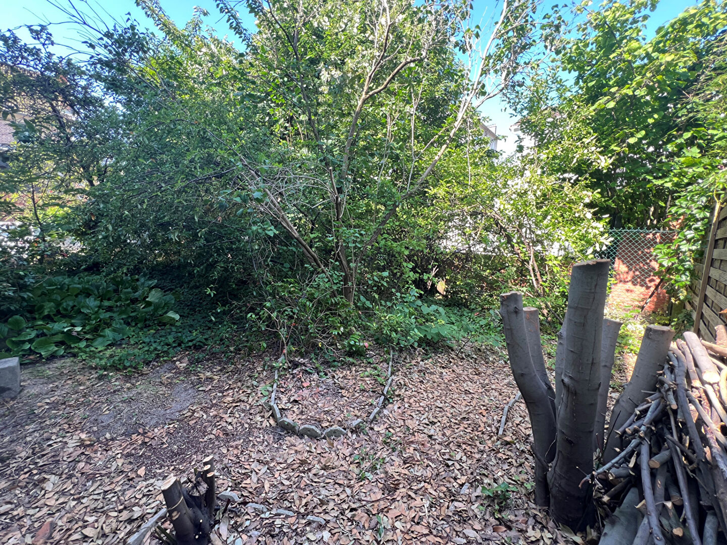 Photo Maison Colombes 6 pièce(s) 116 m2 image 2/4