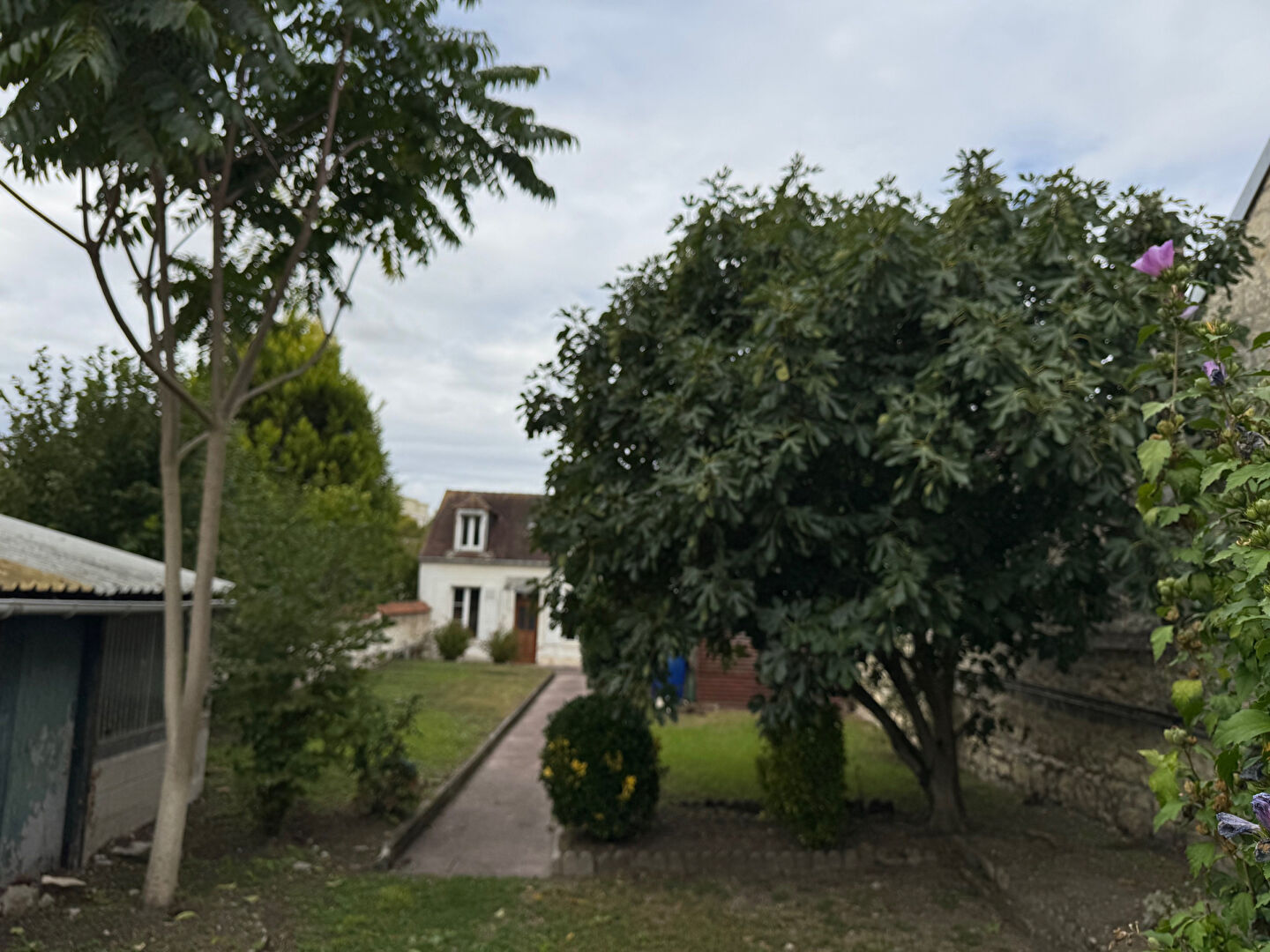 Photo RUE DE LA MADELEINE image 2/6