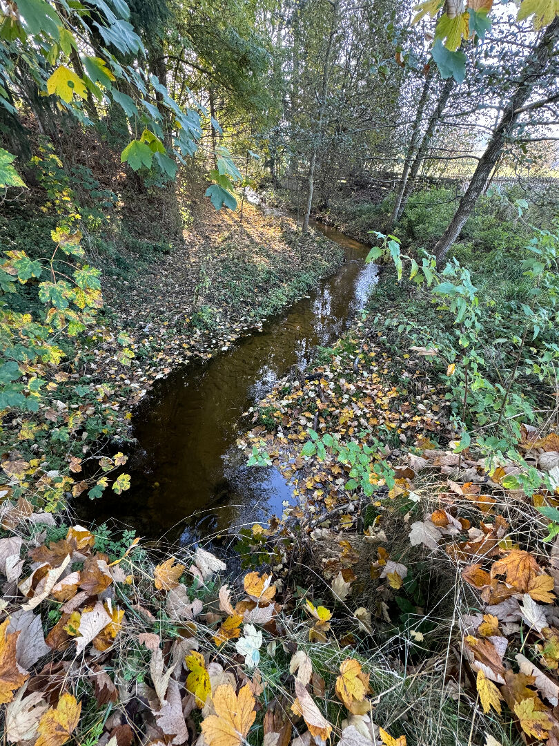 Photo Maison Saint Regis Du Coin 5 pièce(s) 114 m2 image 6/6