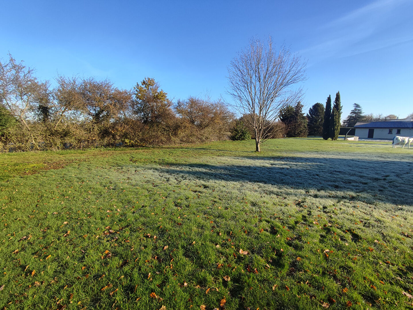Terrain  viabilisé 826 m2