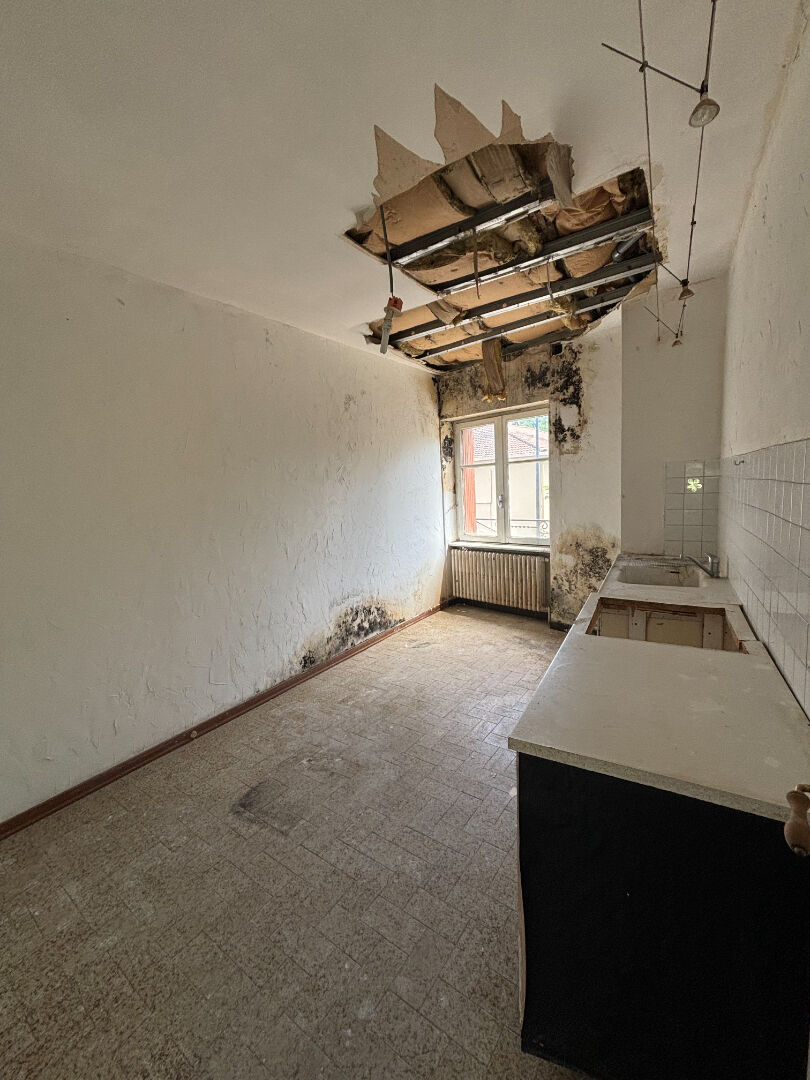 Photo Maison Saint-Désirat 2 pièce(s) 78 m² avec terrasse image 4/6