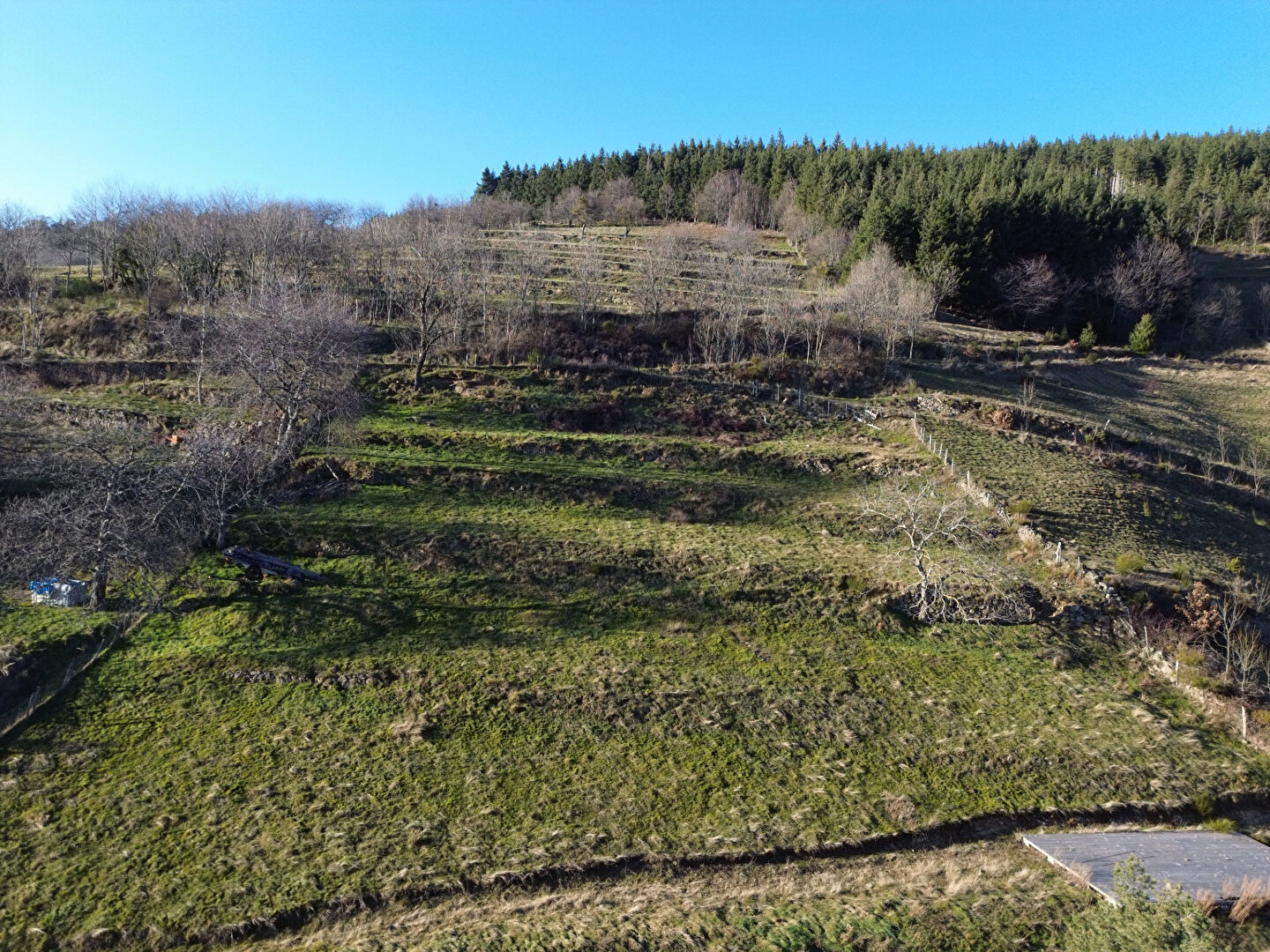 Photo Terrain constructible de 2870 m² situé à Vanosc image 2/6