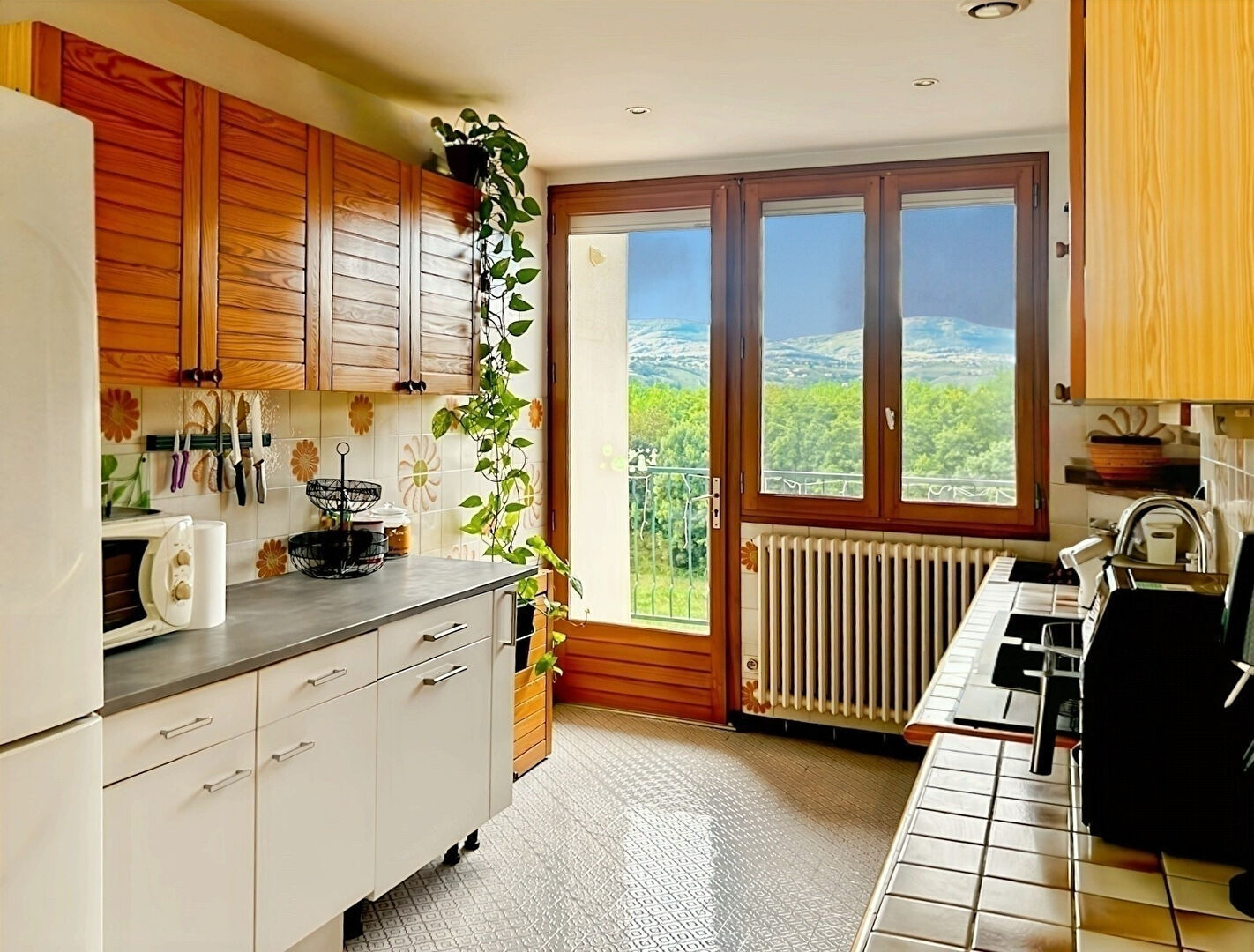 Photo Belle maison à fort potentiel située sur les hauteurs de St Clair du Rhône image 4/6