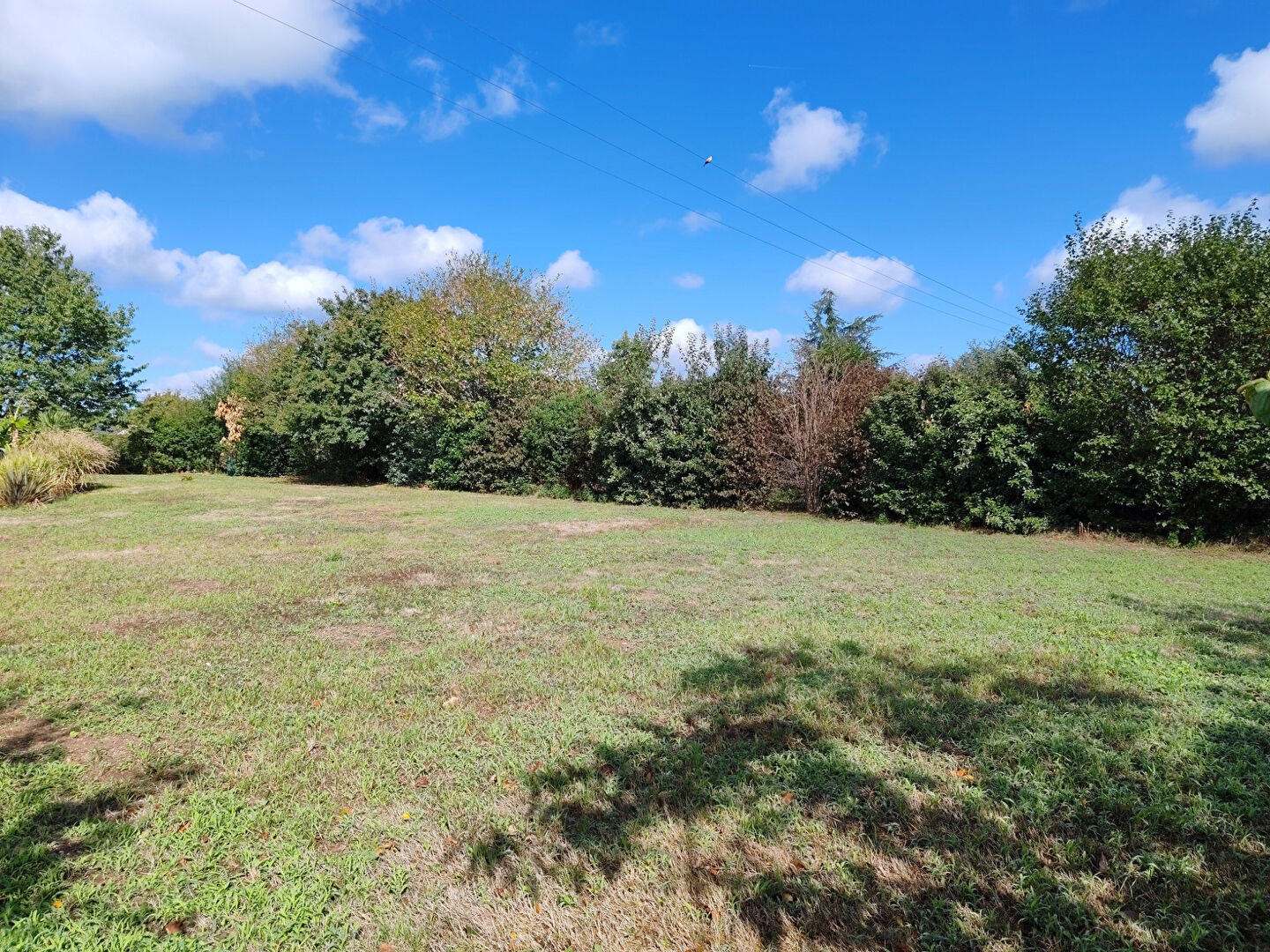 Agence immobilière de ESCP DOUMANDJI-FRABOULET-BAZIN Doue-la-fontaine