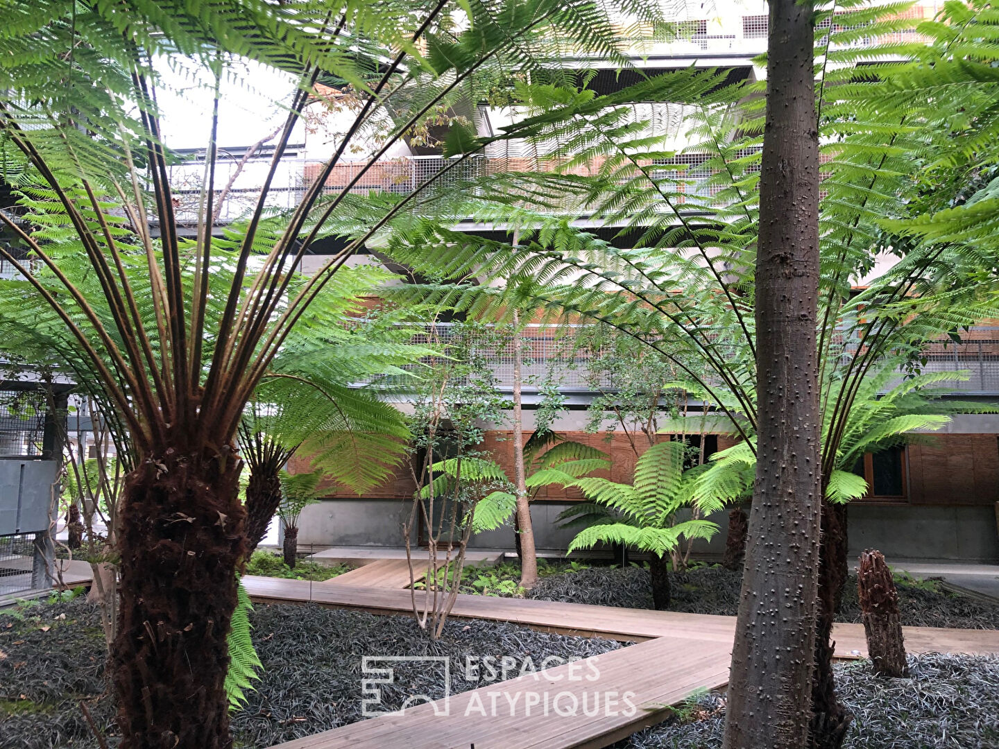 Photo Duplex en attique - 100 m² - 4 chambres - Rennes image 4/6