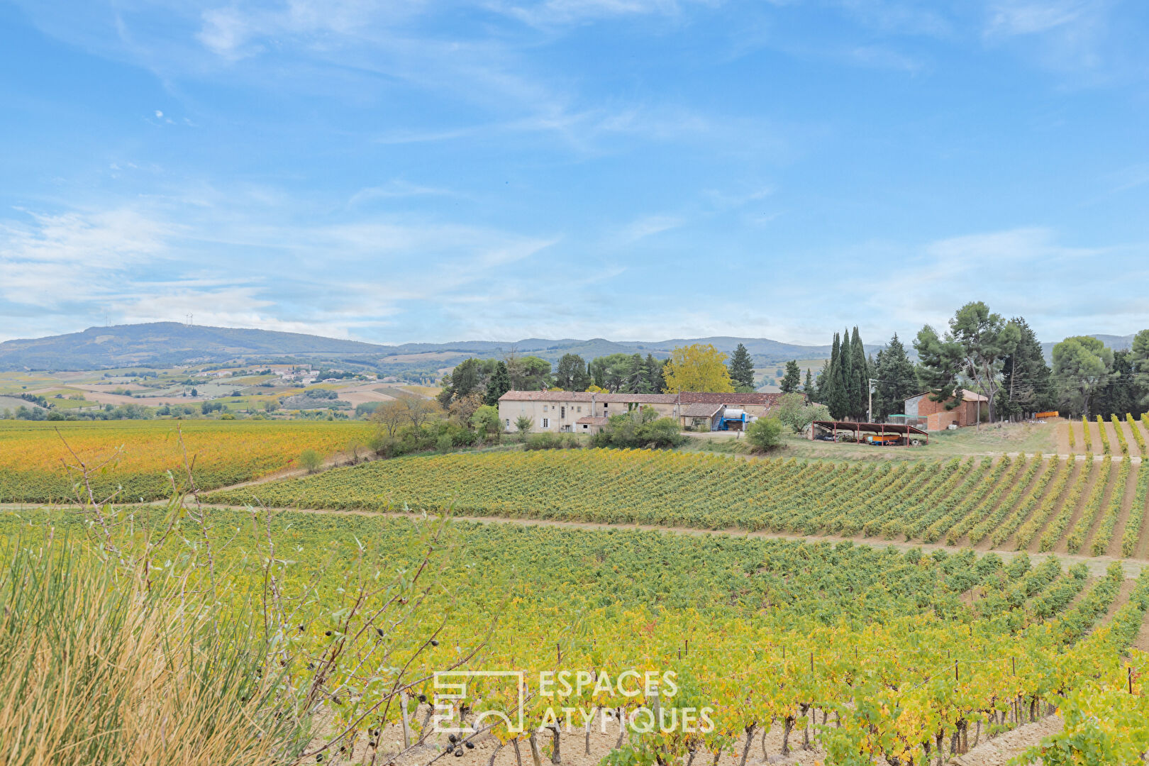 Domaine Viticole d'Exception - Vues Panoramiques sur les Pyrénées