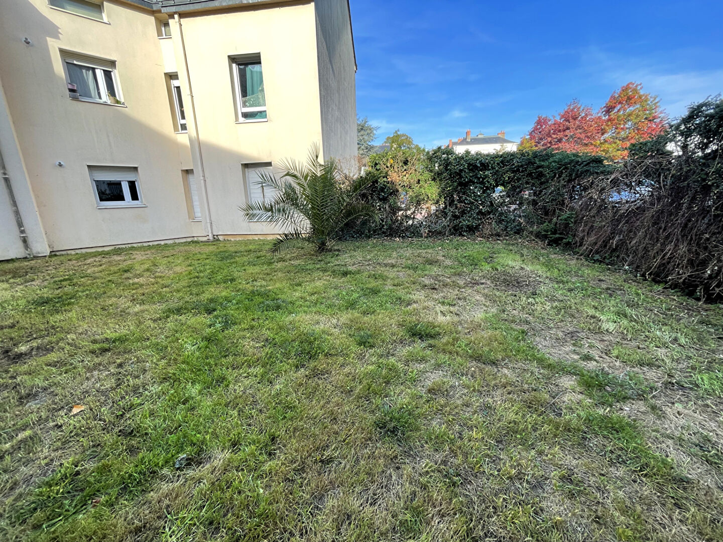 Photo Appartement avec jardin en plein coeur d'Angers quartier les justices image 4/4