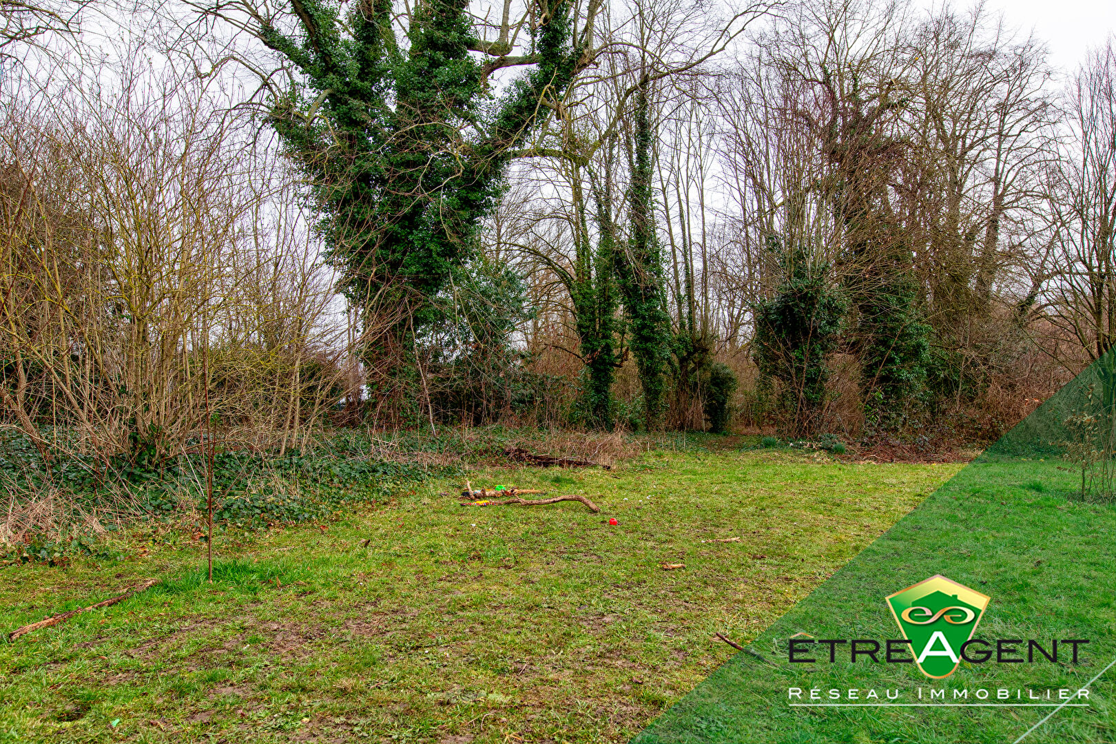 Photo Terrain Quincy Voisins 1037 m2 image 1/2
