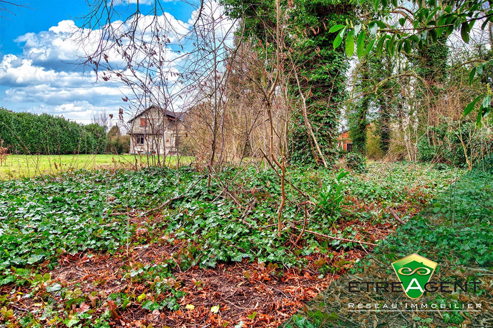 Photo Terrain Quincy Voisins 1037 m2 image 2/2