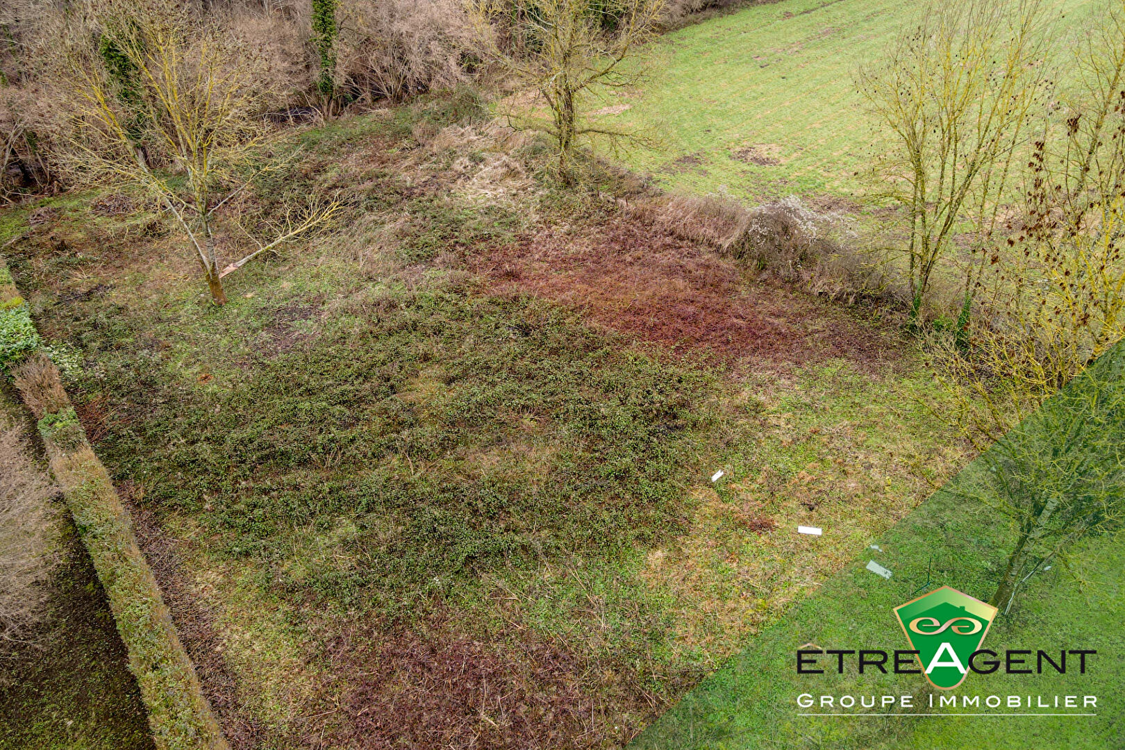 Agence immobilière de ÊTRE AGENT - ÊTRE AGENT