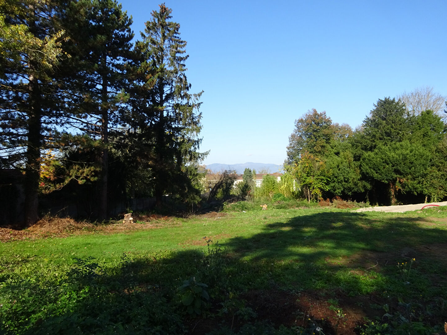 Agence immobilière de ETUDE HOENNER IMMOBILIER Riedisheim - ETUDE HOENNER IMMOBILIER