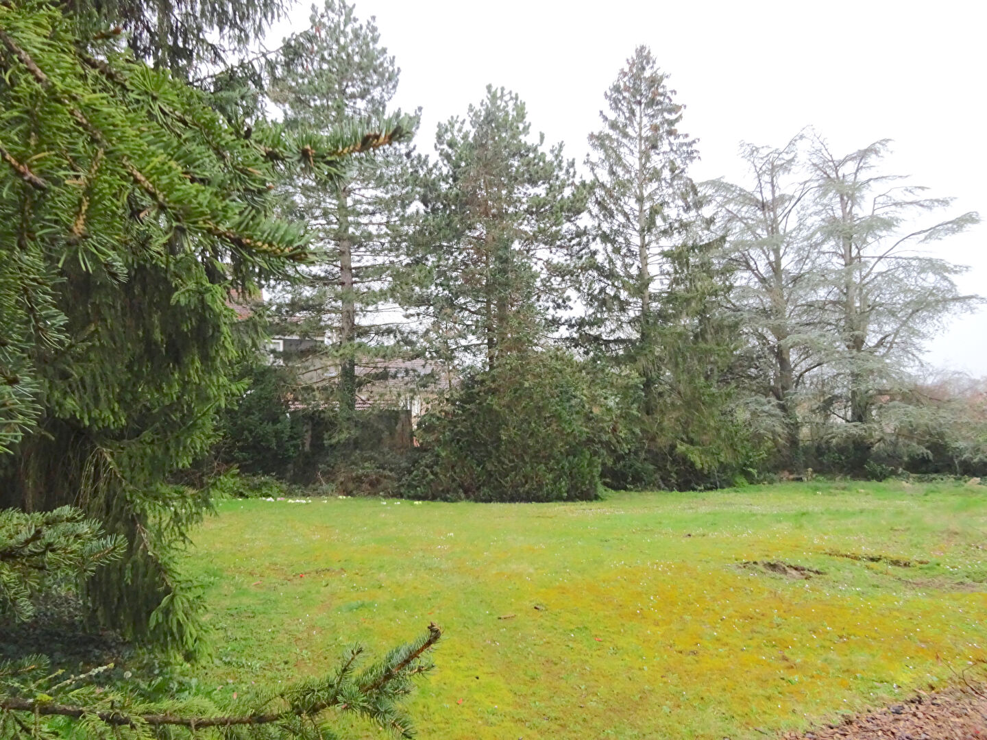 Photo Terrain Mulhouse 1200 m2 image 2/2